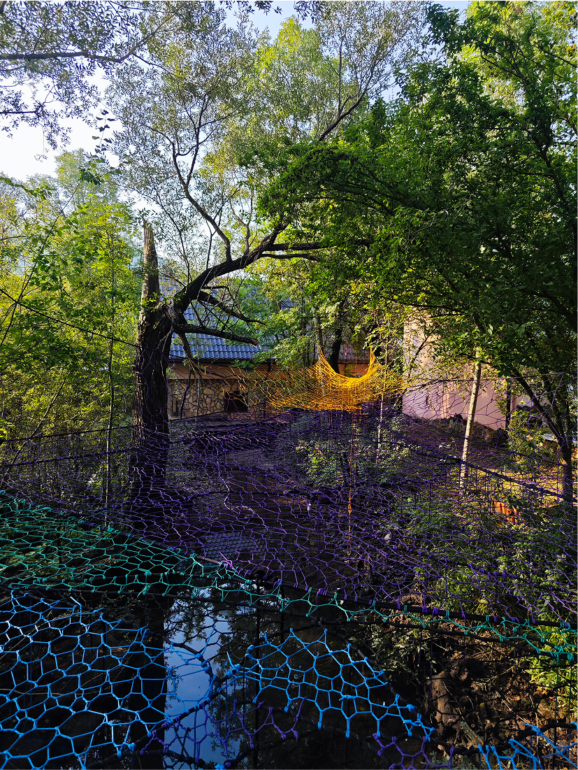 Adrenaline Tree Net system in Deringaj - view from below