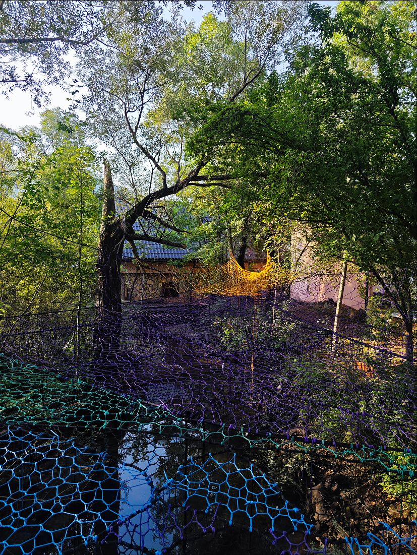 Adrenaline Tree Net system in Deringaj - view from below
