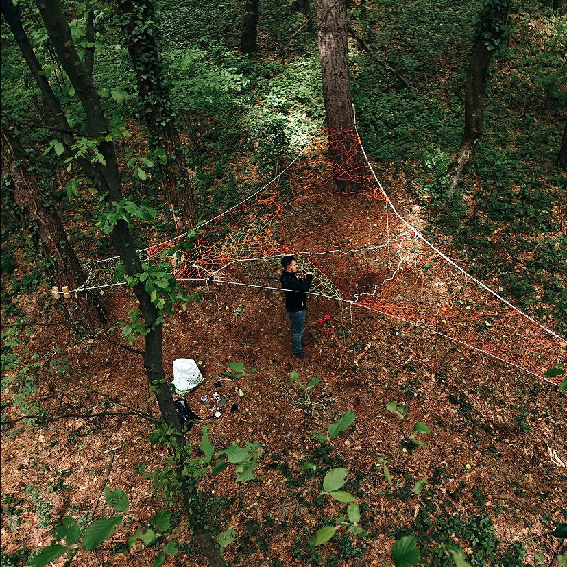 First Tree Net in Croatia in Kalnik - person resting in the net
