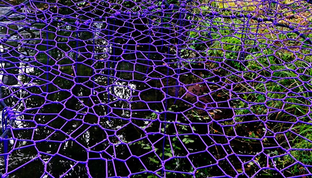 Luksuzna Tree Net mreža na Krku - pogled izbliza