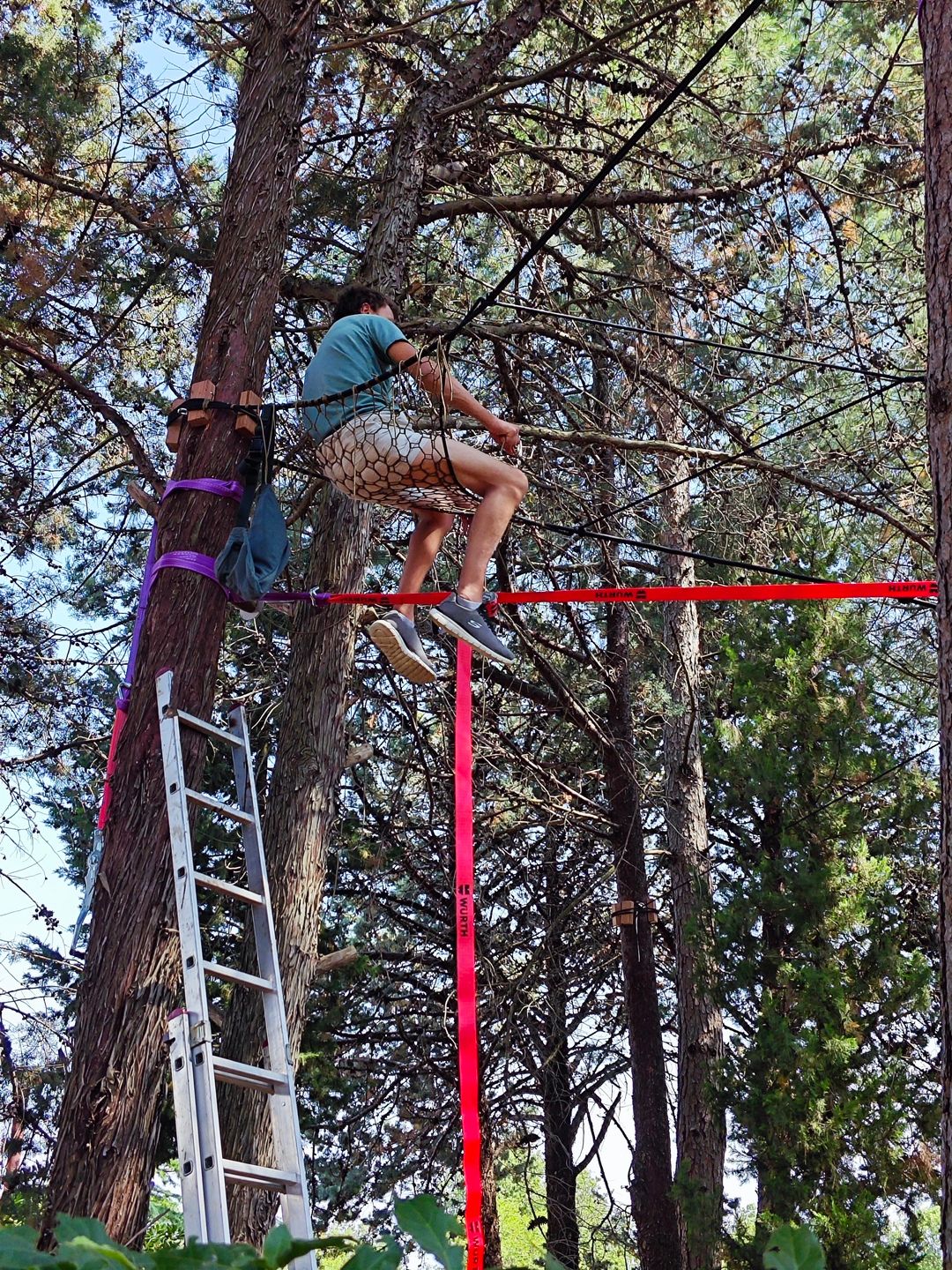 Prva Tree Net mreža u Hrvatskoj u delanijau - pogled s razine tla