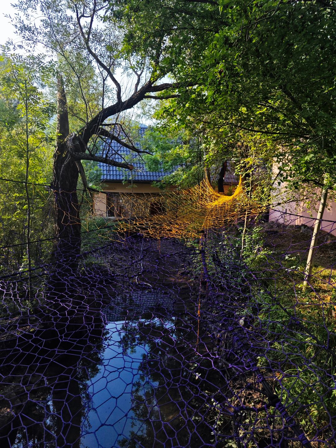 Prva Tree Net mreža u Hrvatskoj u deringaju - pogled s razine tla