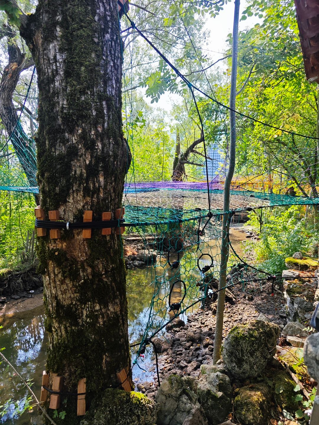 Prva Tree Net mreža u Hrvatskoj u deringaju - osoba koja se odmara u mreži