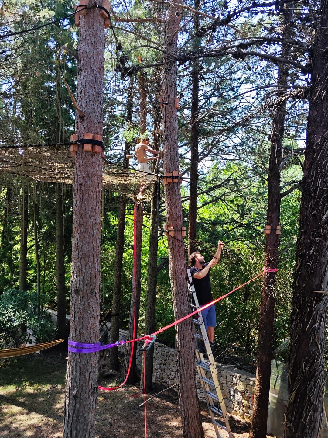 Prva Tree Net mreža u Hrvatskoj u delanijau - pogled na okolni krajolik iz mreže