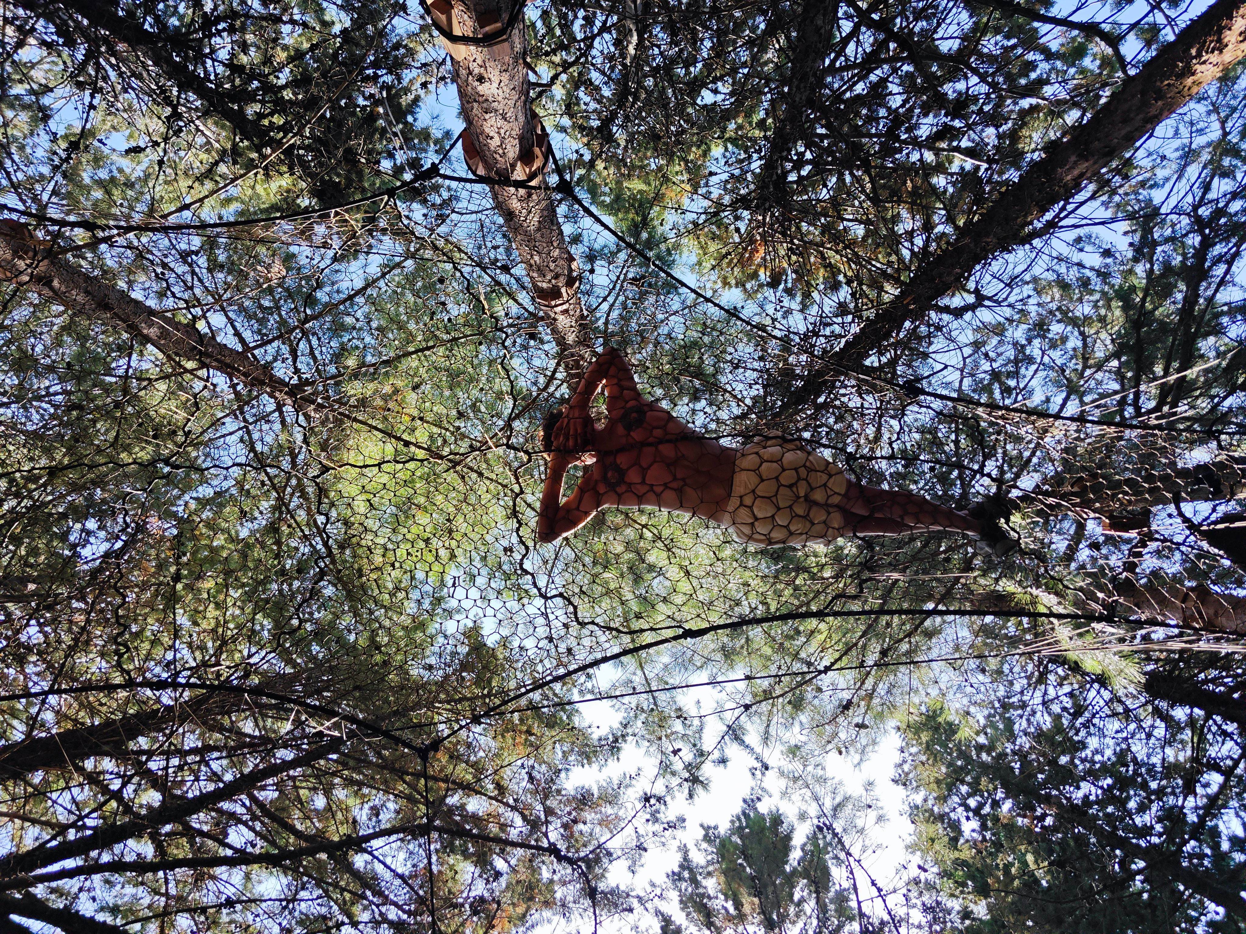 Tree Net mreža u galerijskom prikazu 4