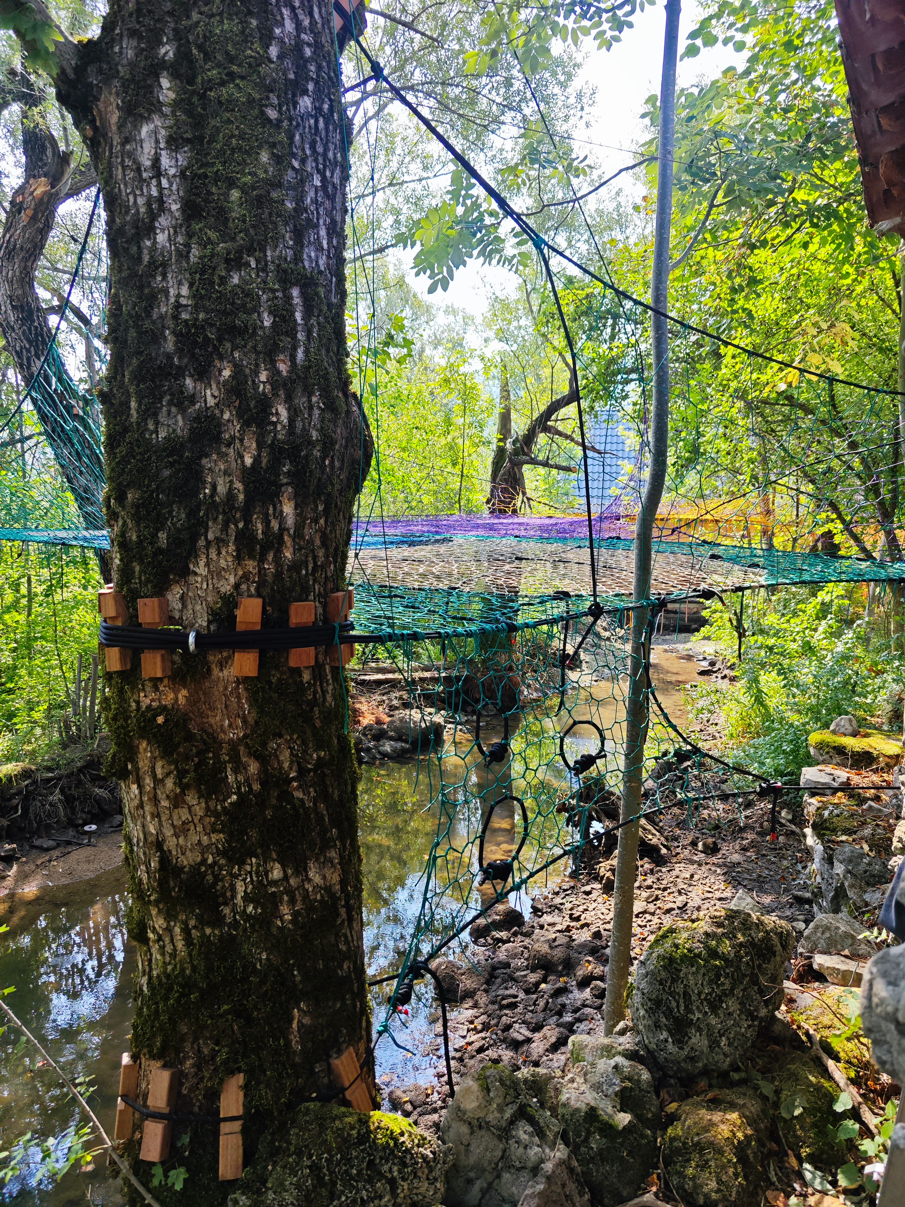 Tree Net mreža u galerijskom prikazu 3