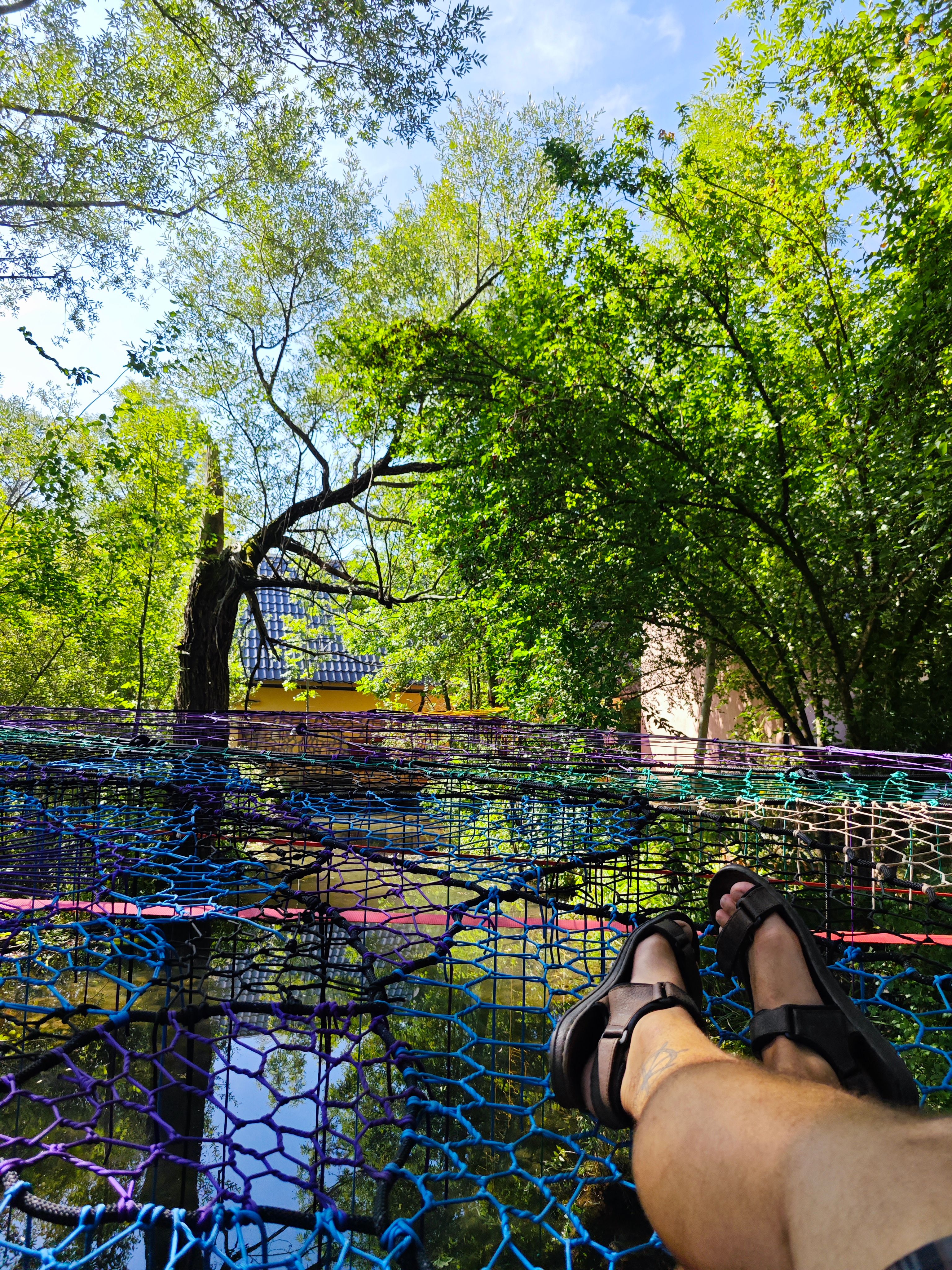 Tree Net mreža u galerijskom prikazu 5